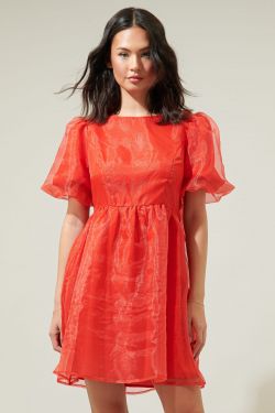 Borza Organza Mini Dress - RED
